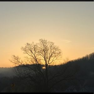 Meet your Posher, Leisha